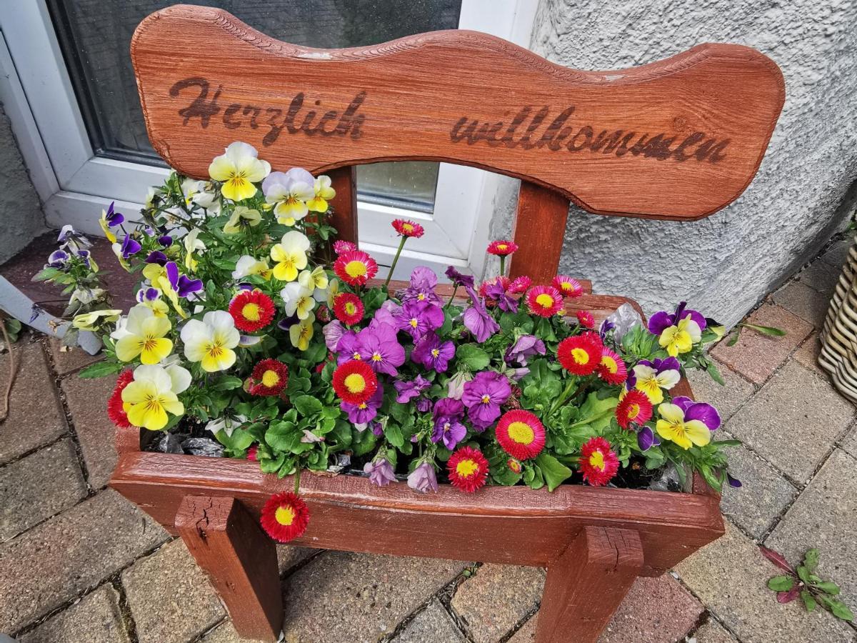 Ferienwohnung Mit Brockenblick Ginko 韦尼格罗德 外观 照片